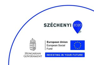 EU tenders at Prosper Szoftverház Ltd